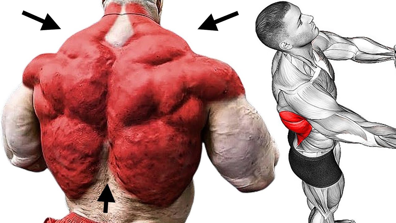 Back Lats Workout for Bigger Back Development - YouTube