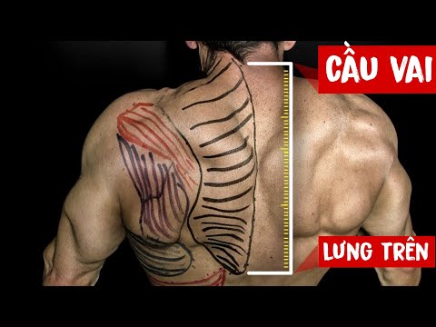 Video: Cách huấn luyện các hướng chuyển đổi thẳng, ở đây và bên - Phần thứ ba trong 