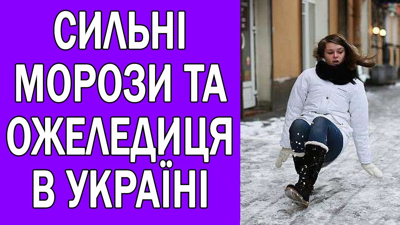 Погода на завтра моторное