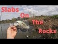 Louisiana Crappie Fishing at Poverty Point(Shallow Water Bite)