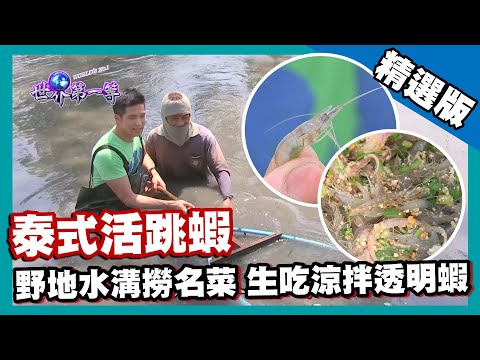 【泰國】野地水溝撈泰北名菜 生吃涼拌活跳蝦｜《世界第一等》715集精華版 #好家在我在家