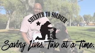 Service Dogs, Veterans &amp; Second Chances | Shelter to Soldier