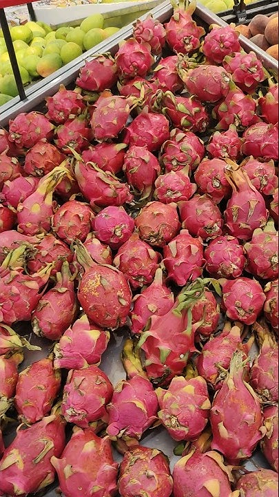Dragon Fruit Price In UAE Bawadi Mall Alain Khattakyt55 UAE YouTube dragon-fruit-price-in-uae-bawadi-mall-alain-khattakyt55-uae-youtube