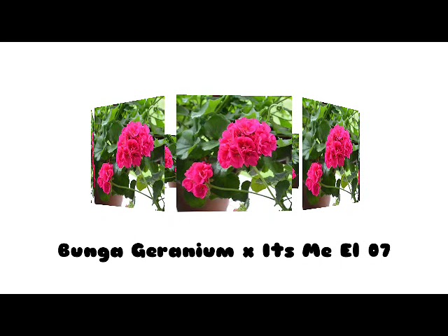 Bunga Geranium x Its Me El 07 Vol 3 class=