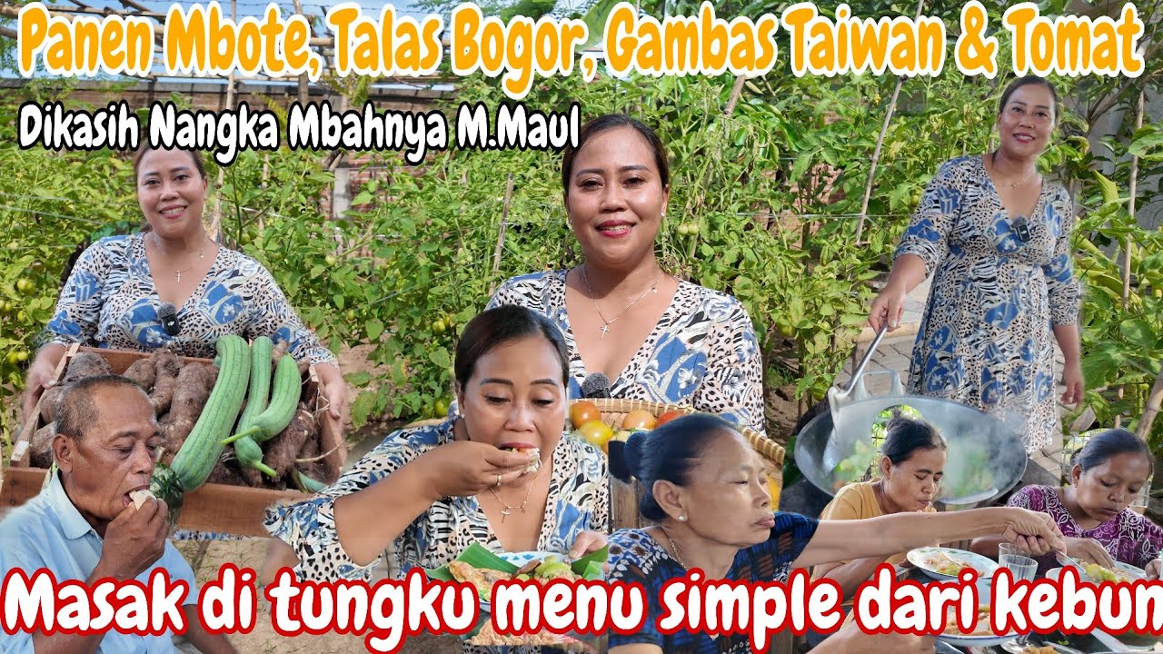 PERDANA‼️PANEN MBOTE,GAMBAS TAIWAN,TOMAT,TALAS BOGOR || MASAK JAMUR KRISPY,TUMIS GAMBAS,TELOR DADAR 