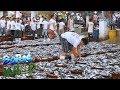 Born to be Wild: Doc Nielsen visits the largest fish port in the Philippines