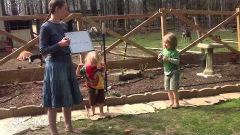 Empirical Probability - Rolling the Dice