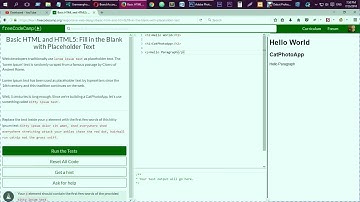 Basic HTML and HTML5 Fill in the Blank with Placeholder Text freecodecamp
