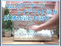 ■ハムスター■ケージ内のレイアウトに悩む悩む・・・