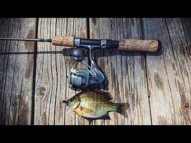 second hand shimano reels Sedona FJ Spinning Reel targeting freshwater bass and Rod Reel Aleka Fly tube hooks Size - Click Below to Find Your Size:2