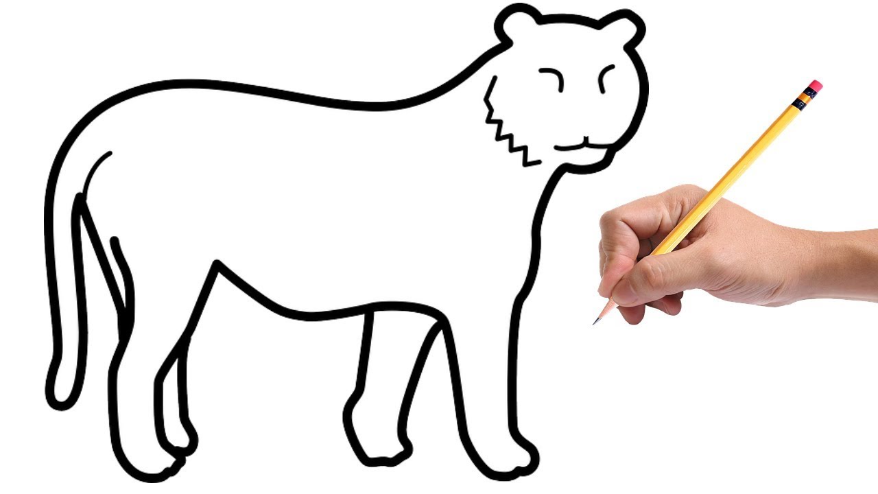 How to Draw a Tiger for Kids - YouTube