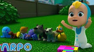 Baby Sports - Robot RACE!!! ARPO The Robot Funny Kids Cartoons Kids TV Full Episodes