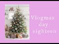 Sister VS Twin Tag! Who knows Cayce better?! || Vlogmas Day 18