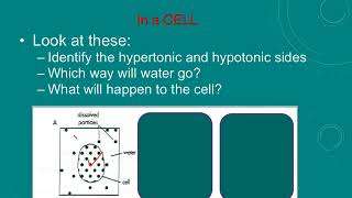 Chapter 5 The Working Cell Part 2