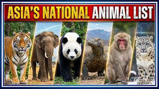 Celebrity Asia’s National Animal List | Tiger | Panda | Wildlife education | Elephant Net Worth