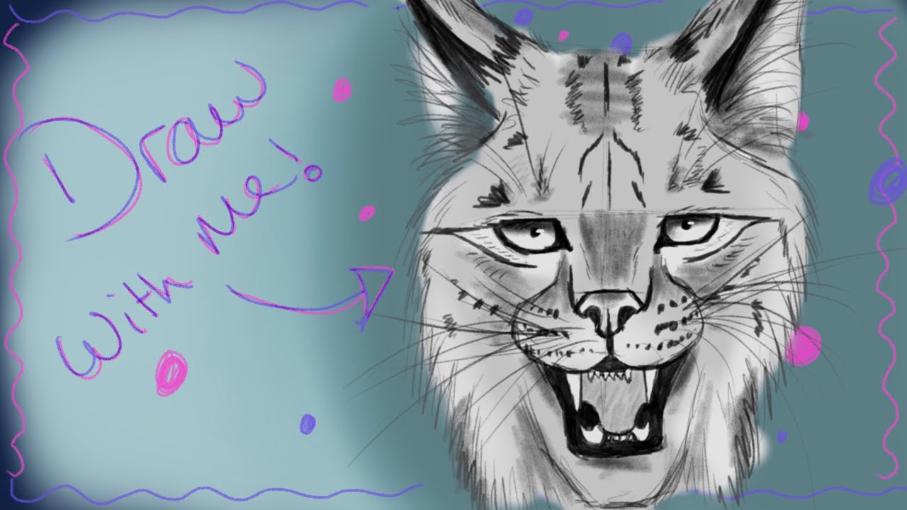 Draw a lynx with me! | Procreate | Sketch 