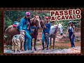 Passeio a Cavalo