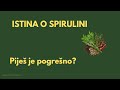 Zašto Spirulina Nije Samo Dodatak Ishrani #spirulina #superhrana #detoks #imunitet