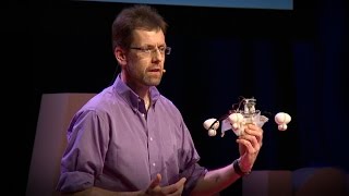 A robot that eats pollution | Jonathan Rossiter