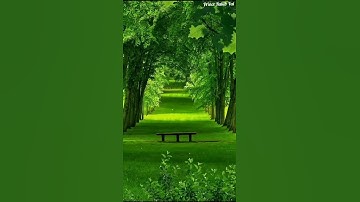 most beautiful place in earth #youtube #shorts #nature #reels #viral #video #foryou