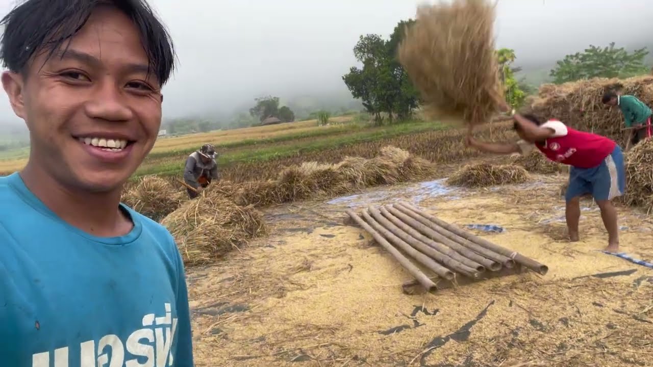 Karenni do farmer by nai soi