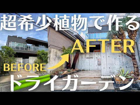 【もう剪定したくない。そんなあなたにおすすめなドライガーデン】 hqdefault