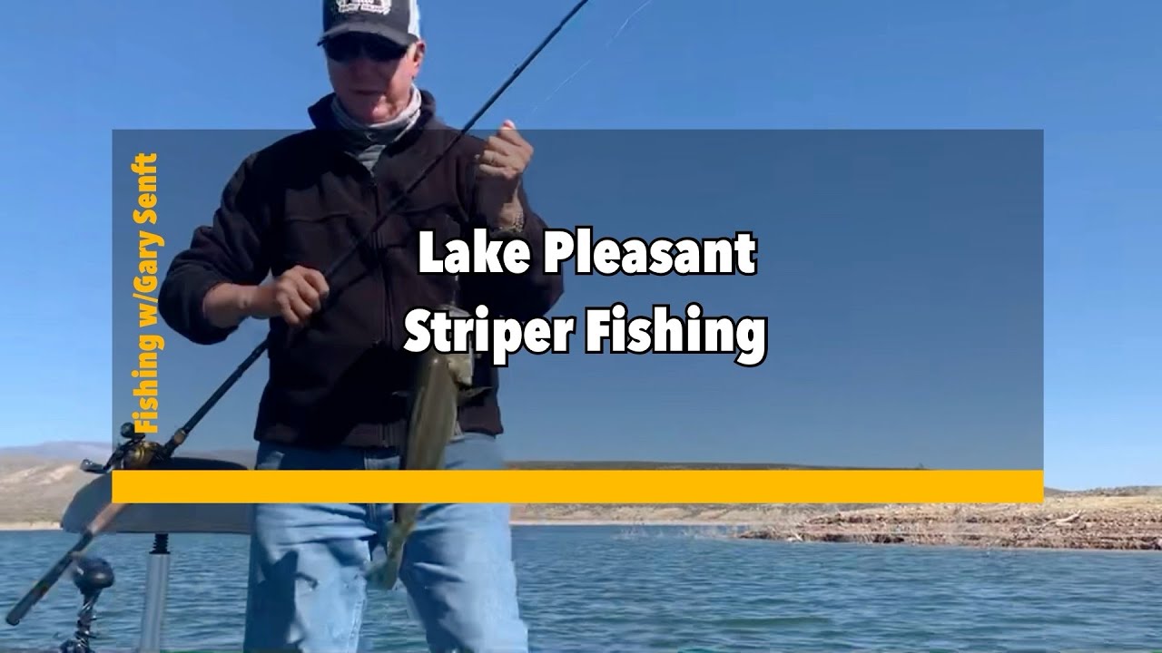 Lake Pleasant Striper Fishing YouTube