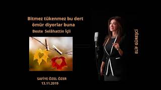 Bitmez tükenmez bu dert ömür diyorlar buna -Elif Güreşci Resimi