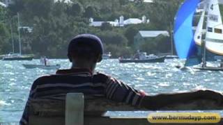 Hamilton Scenic Tour - Bermuda YP