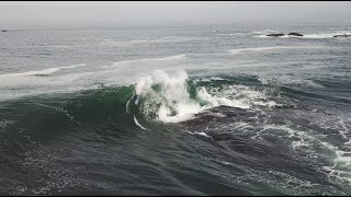 6 Bombs With Allan Horton  - Charging The Dry Reef Slabs of South Africa - [Bodyboard, Bodyboarding]