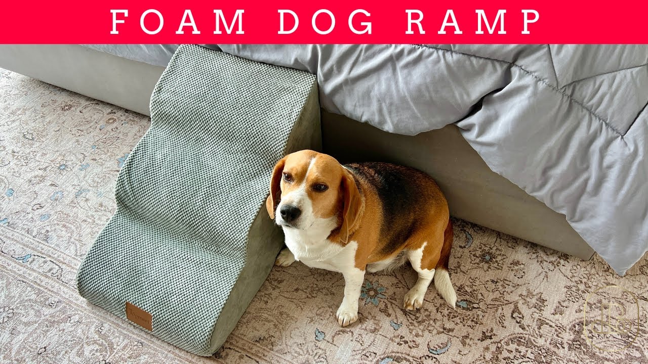 Keep Your Pet Safe And Comfortable With This Extra Wide And Deep Steps