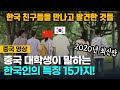 [중국영상] 중국 대학생이 한국 친구들을 만나고 발견한 한국 청년들의 15가지 특징