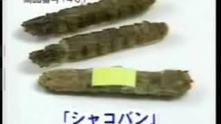 Eng Sub Japanese Parody Mantis Shrimp Band-Aids Nikkō Telephone Shopping