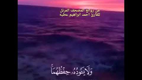 القارئ احمد ابراهيم عطيه