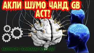 ИНСОН ЧАНД (ГИГАБАЙТ) АКЛ ДОРАД? хатто кулли дунё ба як акли одам баробар нест?