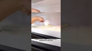 Celebrity DashieGames Funny Moments 😂 #shorts #dashiegames Profile