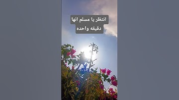 تلاوه خاشعه