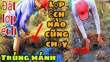#69 Cách Làm Mồi Đặt Lợp Ếch Đơn Giản Hiệu Quả Nhất || Cái Lợp Nào Cũng Chạy || Học vlog