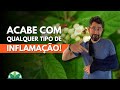 Essa  a planta antiinflamatria n 1