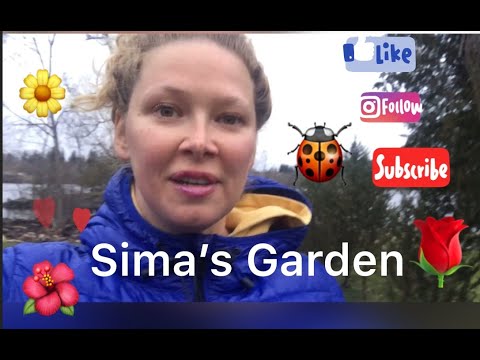 Sima's Garden Digging