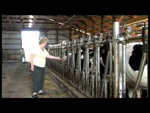 Video: Hur många gårdar finns i Michigan?