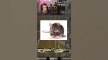 I DECLARE WAR AGAINST ALL THE RATS STOP RUINING THE GAME #apex #apexlegends #apexlegendsclips
