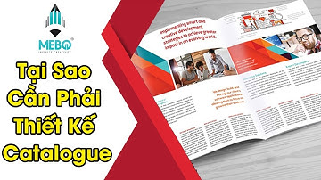 Thiết Kế Logo #49 | Catalogue là gì? Tại Sao Cần Thiết Kế Catalogue?