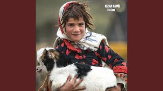 Tu Cani - Hozan Hamid