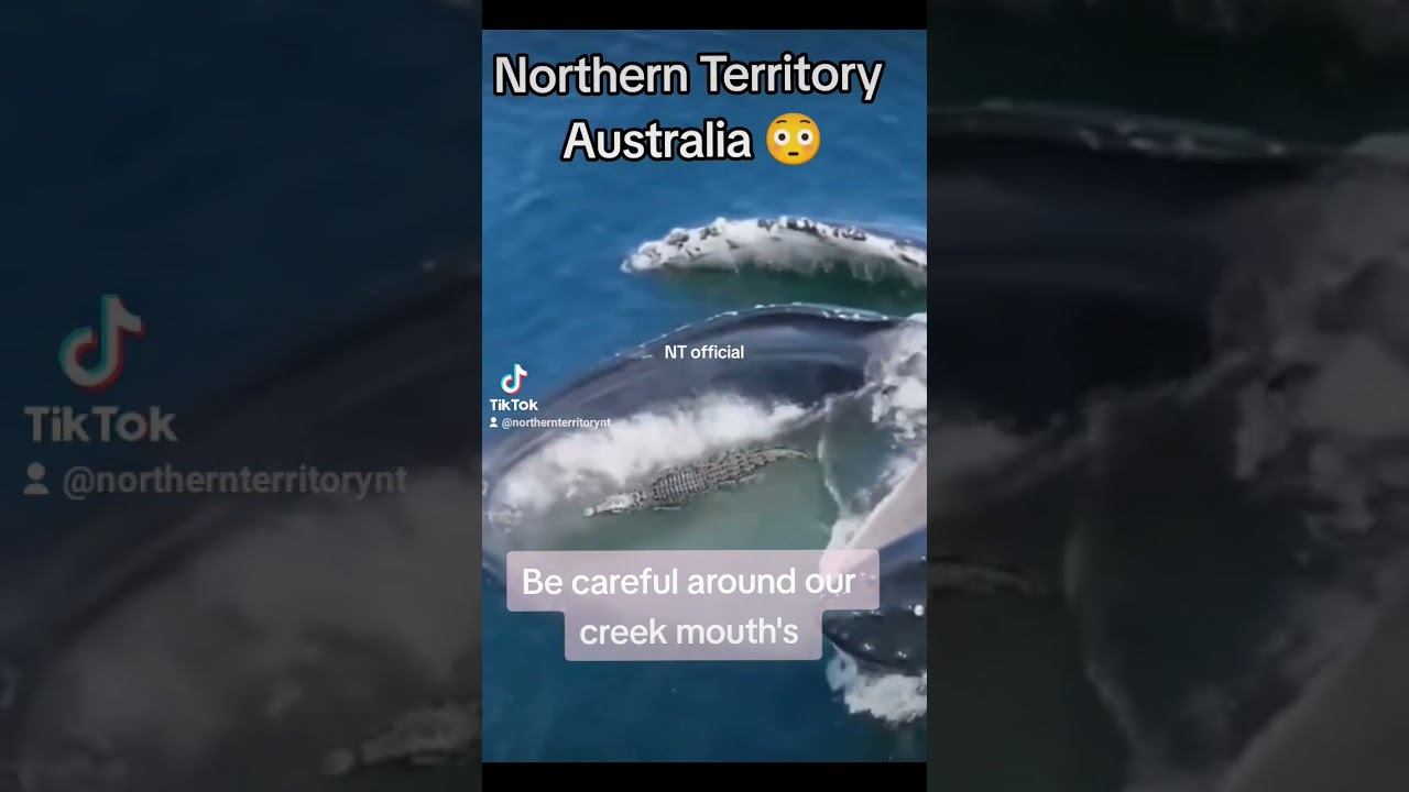 crocwise Northern Territory Australia 🌏..look at the size it's huge...