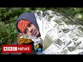 Migrants freezing to death on Belarus-Poland border - BBC News