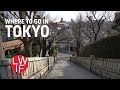 Random Walk Around Tokyo