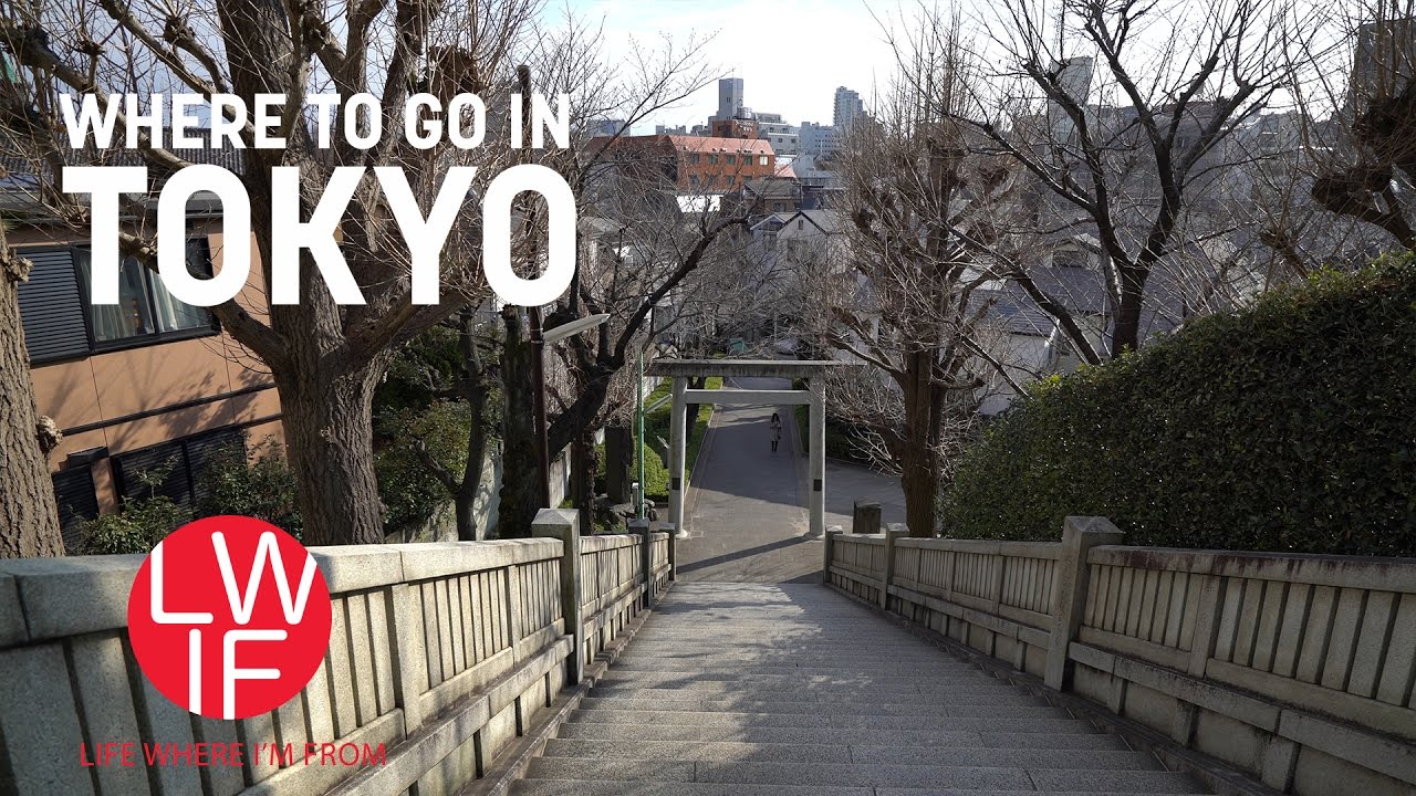 Random Walk Around Tokyo