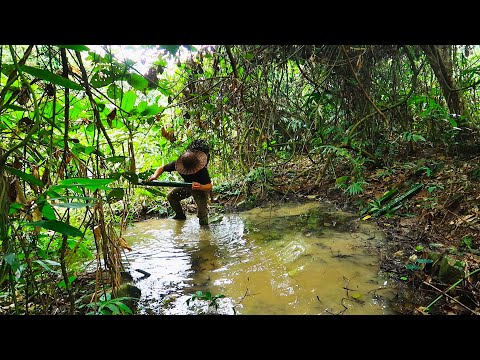 Eel Trap & Cooking: Lots of Eels in the Forest: Survival Alone | EP.121