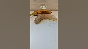 Живой банан